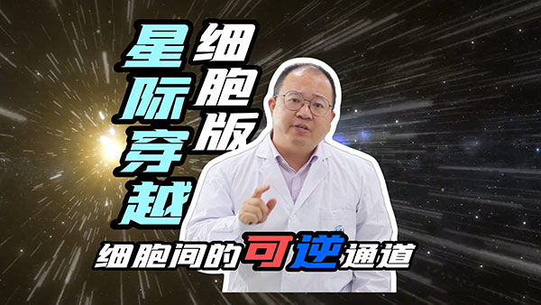 透皮环肽-讲解