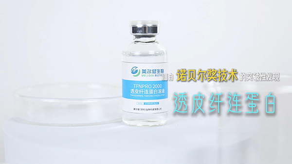 透皮纤连蛋白