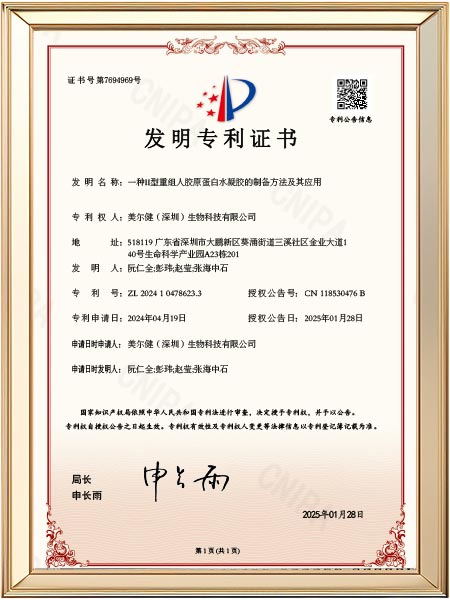 发明专利-一种II型重组人胶原蛋白水凝胶的制备方法及其应用