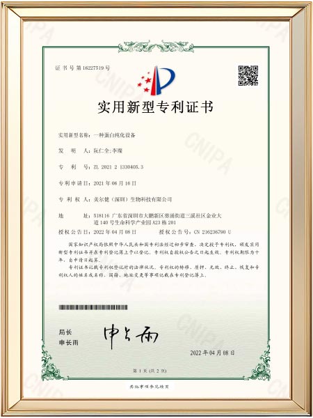 实用新型专利-一种蛋白纯化设备