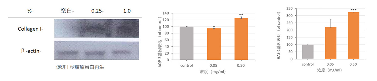 灵芝多糖-研究数据