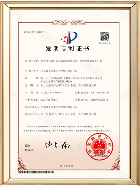 发明专利-基于肽伴侣的透皮增强型重组人源III型胶原蛋白及其应用