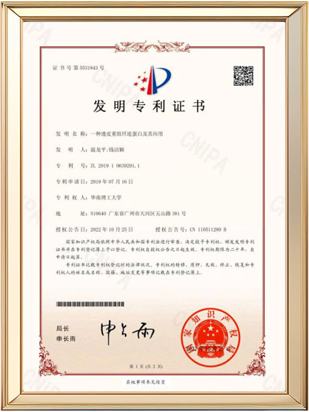 发明专利-一种透皮纤连蛋白方法和应用