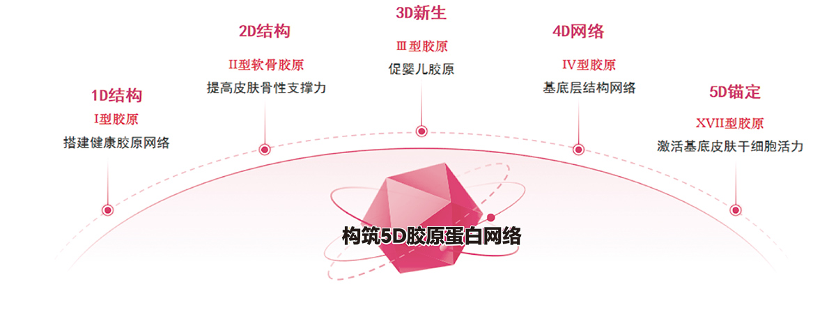 构筑5D胶原蛋白