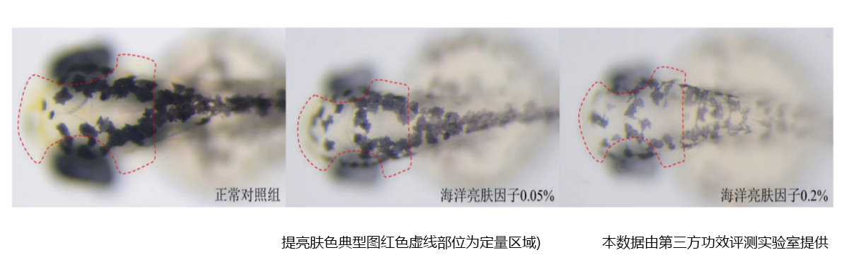 美白