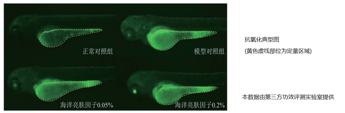 抗氧化