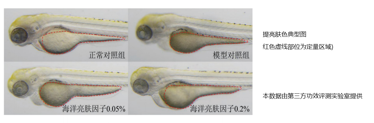 提亮肤色