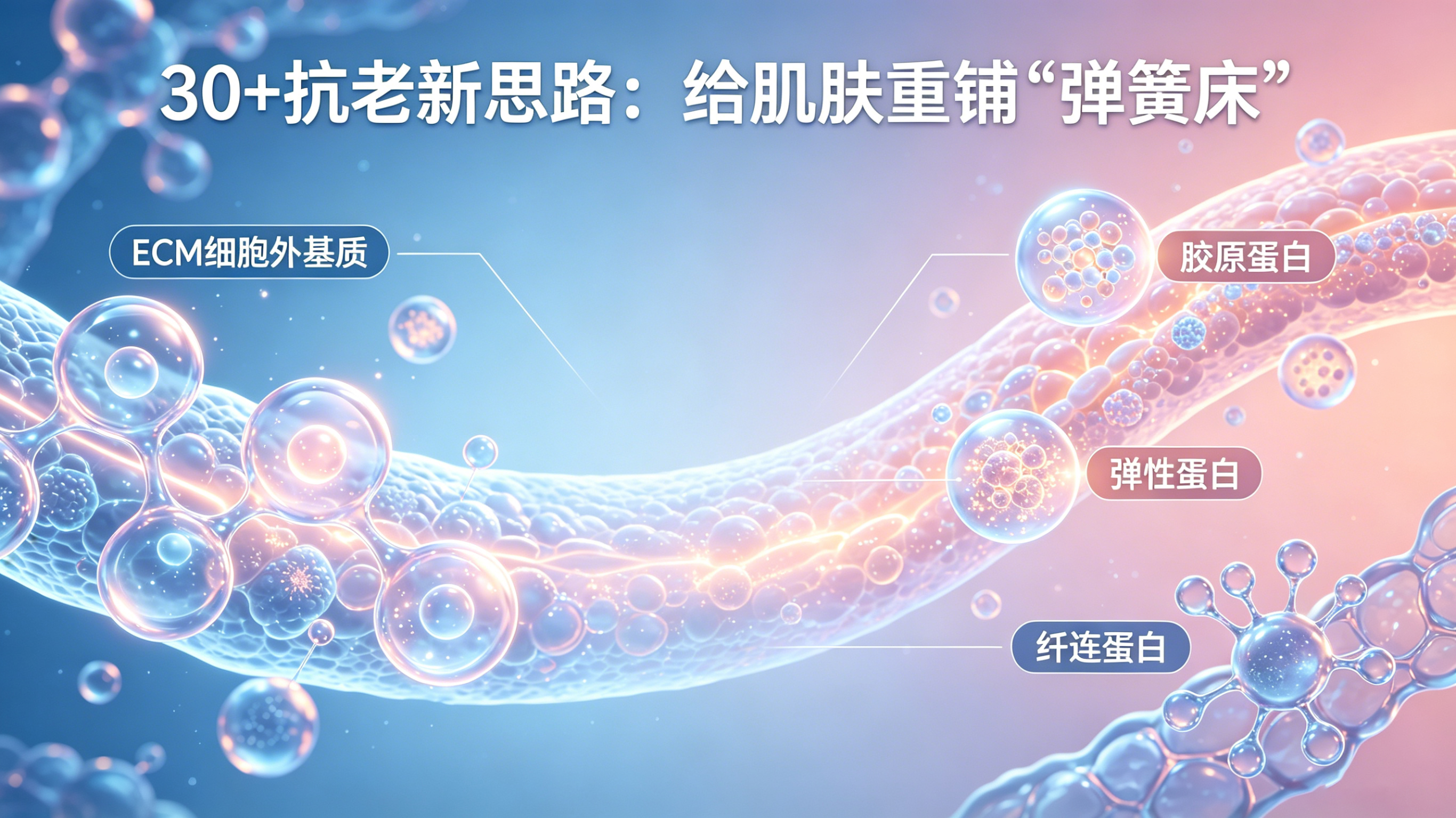 30+抗老新思路：不是补胶原，是给肌肤重铺“弹簧床”