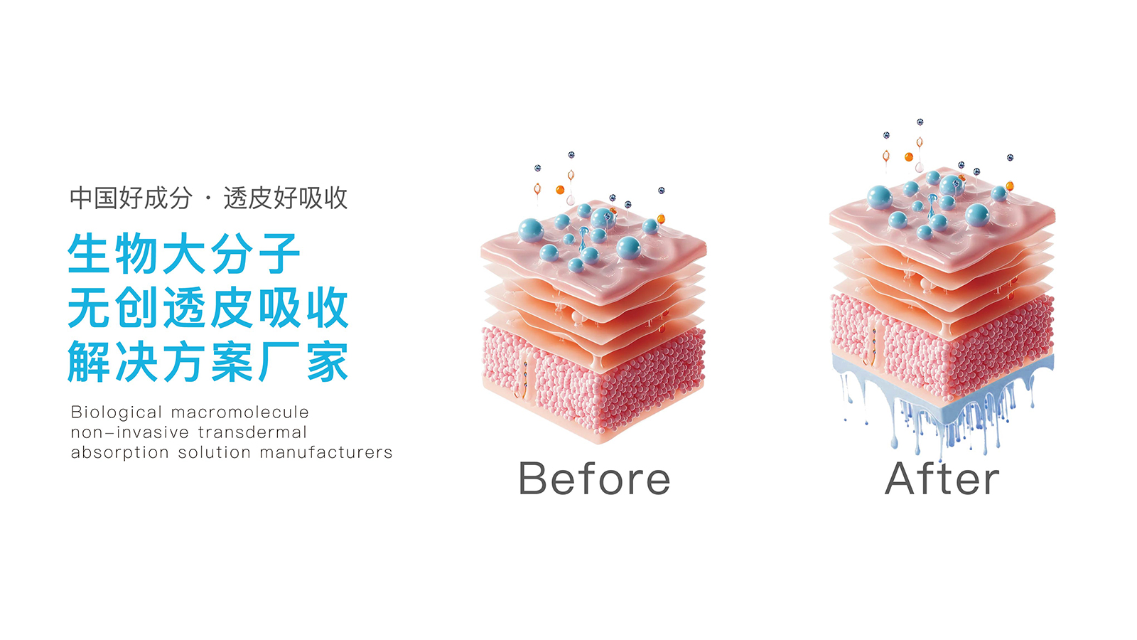 三文鱼DNA多维修护！探索深层水润与肌肤屏障焕活新机制