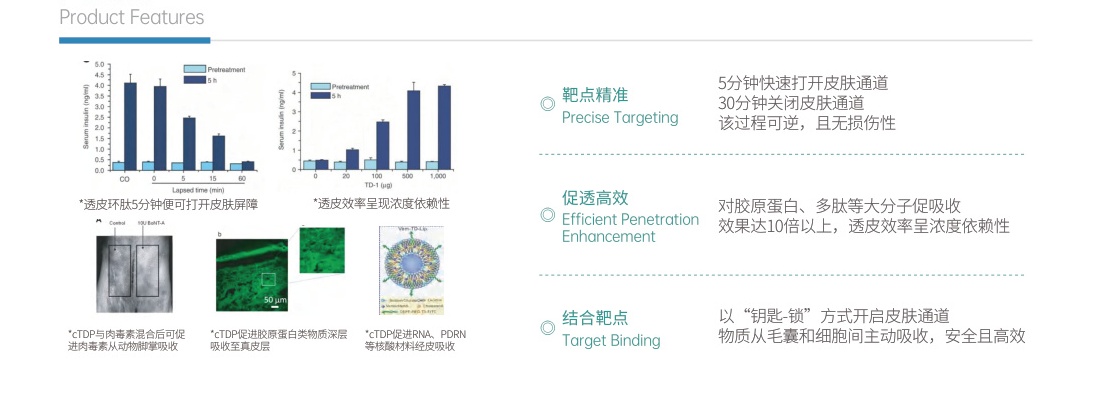 Rose distillate, Sodium DNA, and cTDP cutaneous delivery and cellular nourishment experimental data.