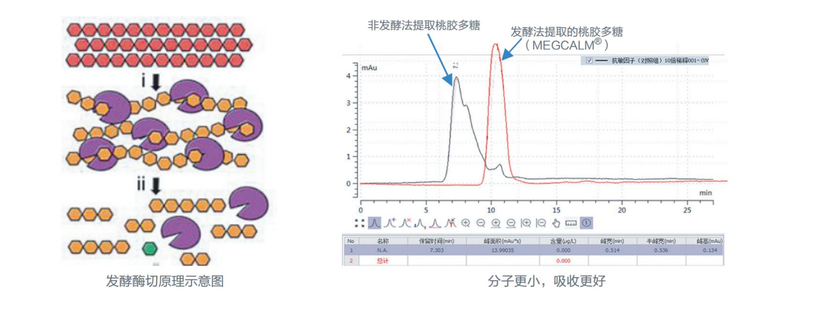 Placental multi-type native active procollagen (I/III/V) matrix replenishment and barrier repair.