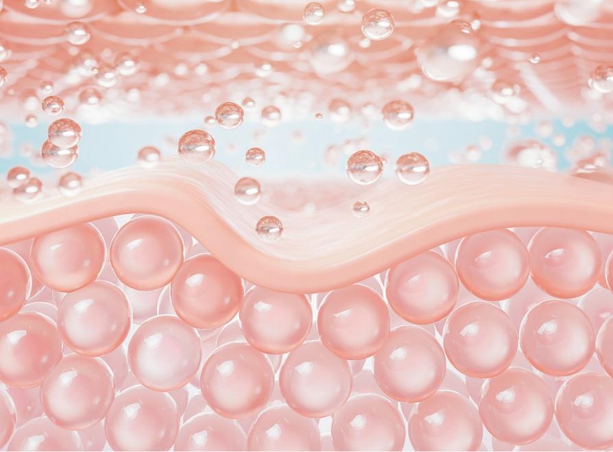 MELLPRO 5Dcollagen 5D Collagen - Mechanism & Scientific Evidence
