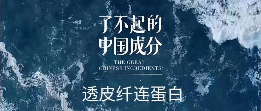 解锁原料“大BOSS”纤连蛋白的高超技能与美肌功效！