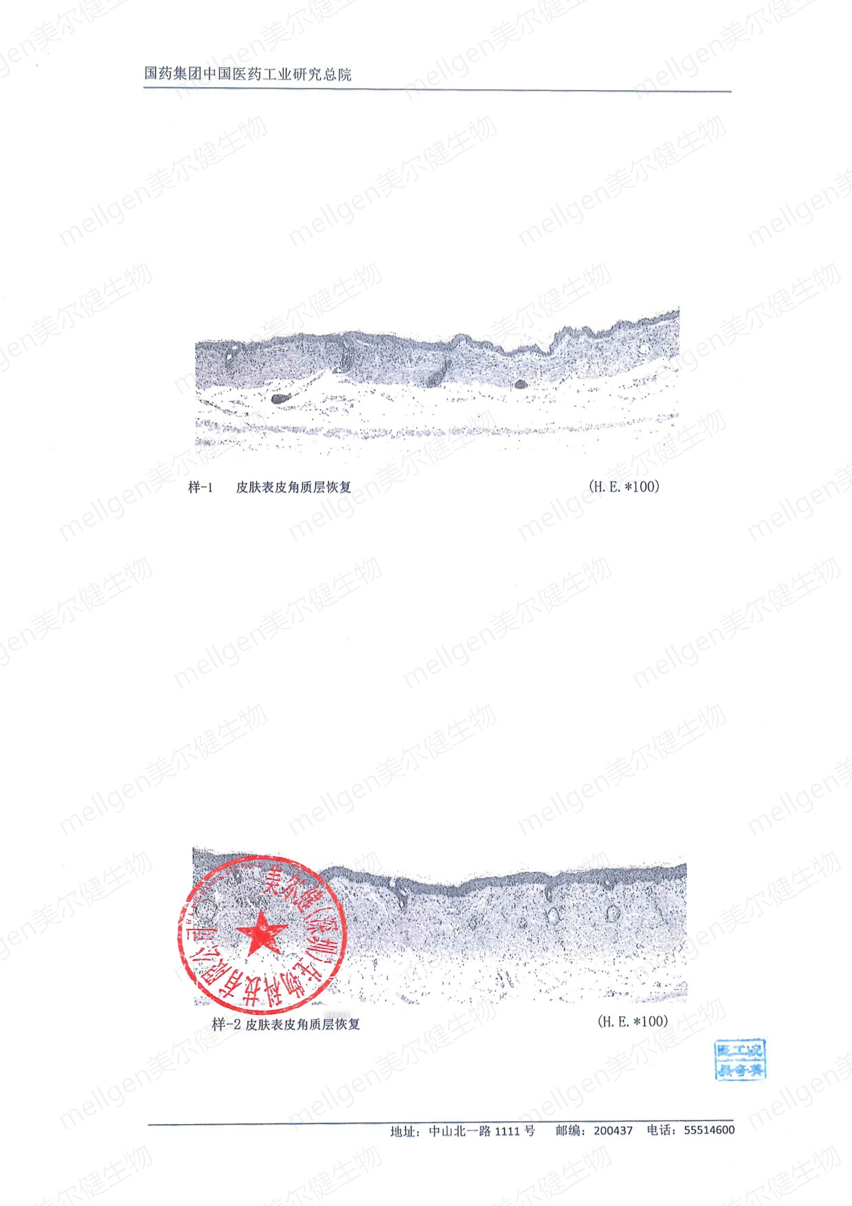 检测结论与签发盖章页